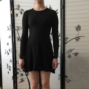Express Sweater Skater Dress